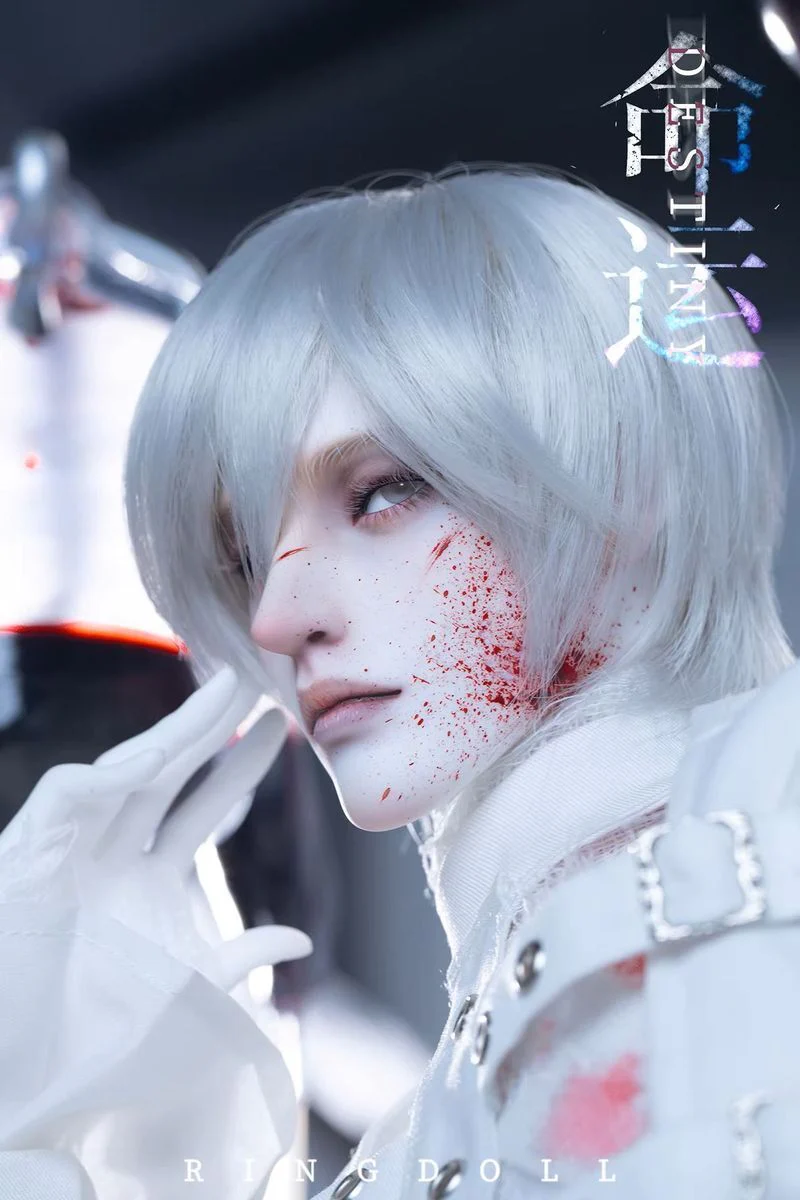 Destiny Fullset | PREORDER | DOLL - Image 9