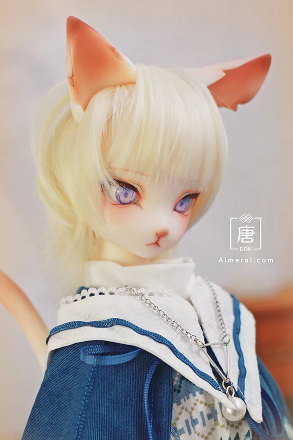 Don --Star Gazer ( Fullset ) | Preorder | DOLL - Image 3