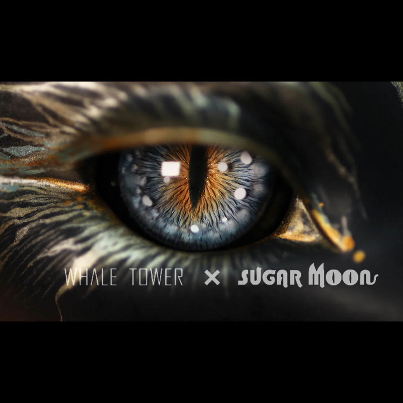 Dragon Eyes-A: EA-sp-02 [Limited quantity] | Preorder | EYE - Image 4