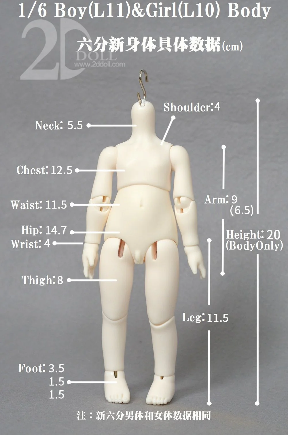 DuDu | Preorder | DOLL - Image 19