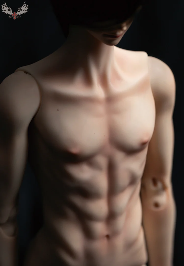 Elite Male Single Torso Body | Preorder | PARTS - Image 3