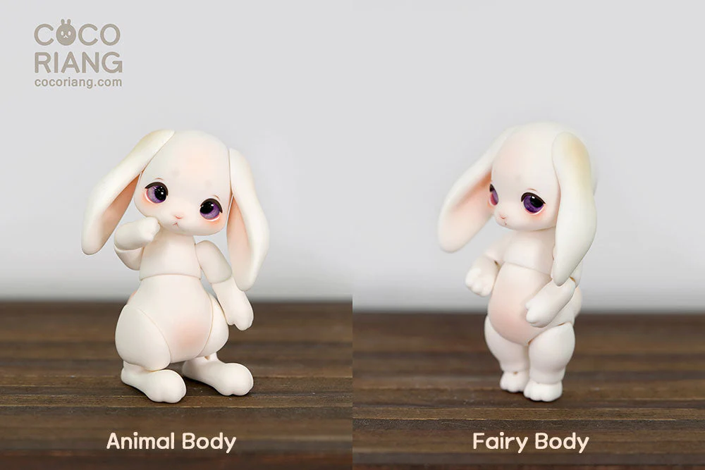 Groomy [Cream White] [Limited Time] | Preorder | DOLL - Image 14