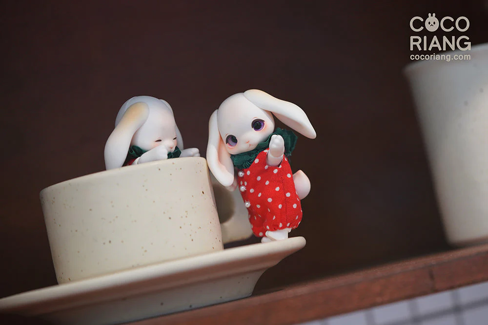 Groomy [Cream White] [Limited Time] | Preorder | DOLL - Image 3