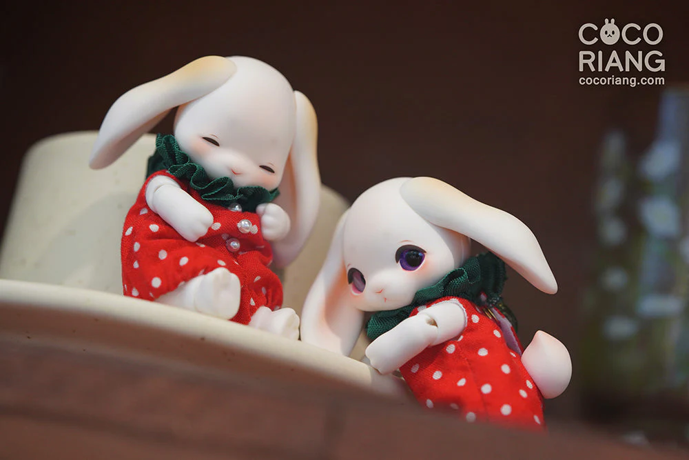 Groomy [Cream White] [Limited Time] | Preorder | DOLL - Image 5