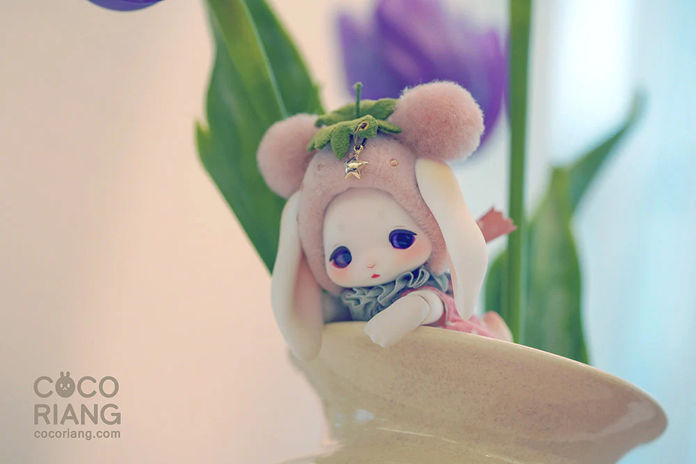Groomy [Cream White] [Limited Time] | Preorder | DOLL - Image 7