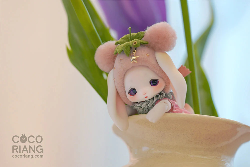 Groomy [Cream White] [Limited Time] | Preorder | DOLL - Image 8