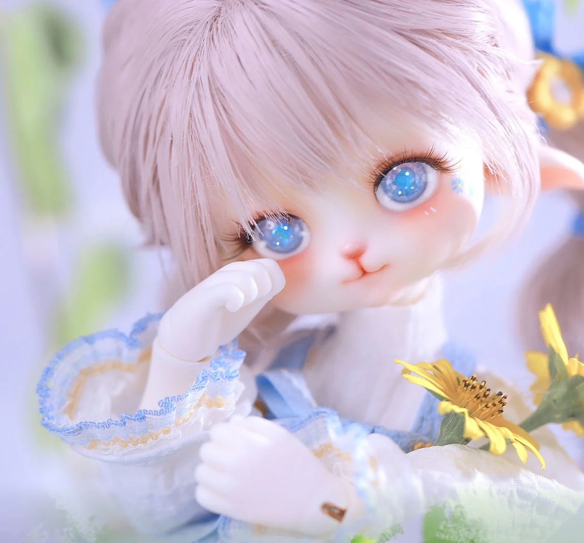 Happy Fullset | Preorder | DOLL - Image 6