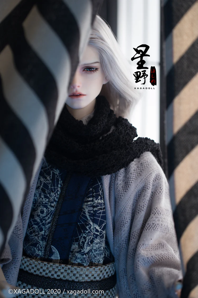 Hoshino X-3-014 | Preorder | DOLL - Image 2