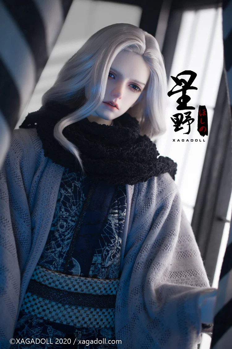 Hoshino X-3-014 | Preorder | DOLL - Image 3