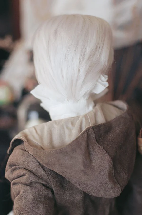 HSW-1004 (9~10inch) - BrightSnow | Preorder | WIG - Image 6