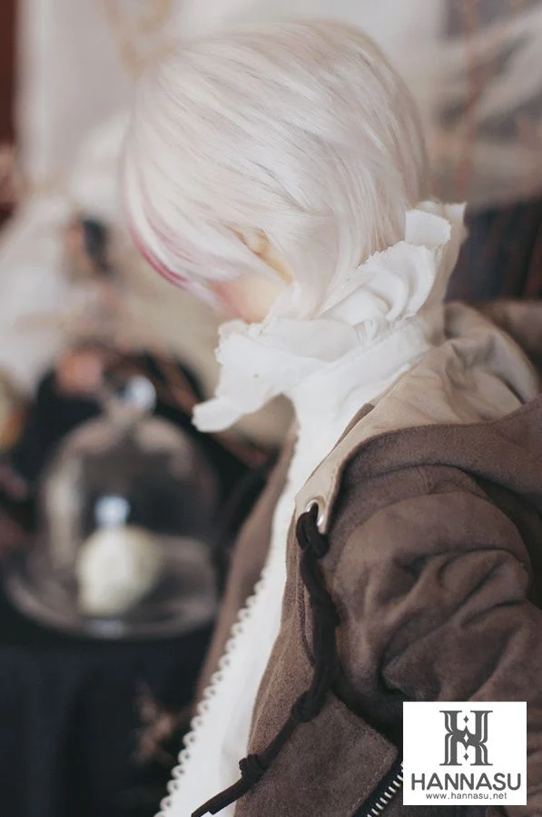 HSW-1004 (9~10inch) - Silver Gray | Preorder | WIG - Image 3
