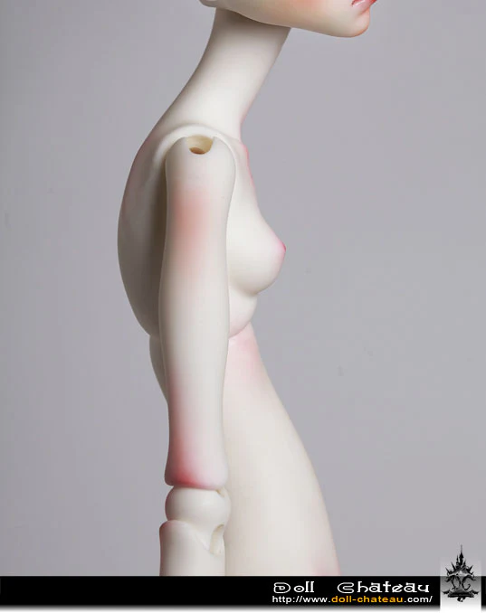 K-body-11 | Preorder | PARTS - Image 3