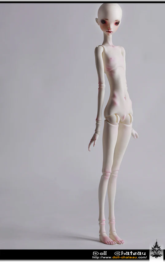 k-body-12 | Preorder | PARTS - Image 5