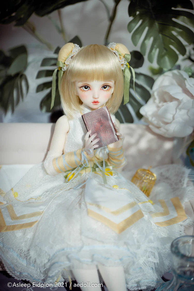 Lemon 2020 Fullset | Preorder | DOLL - Image 8