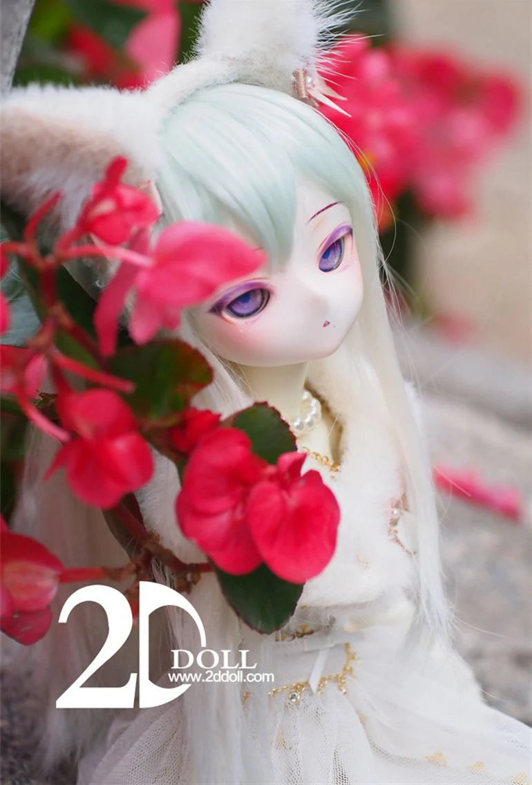 LengLeng | Preorder | DOLL