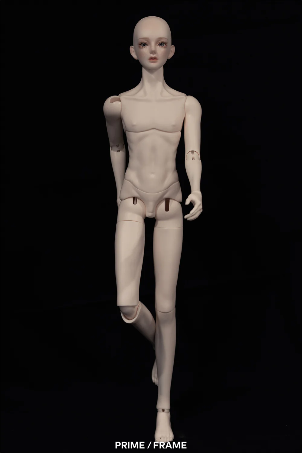 [Limited Time] BOTANICAL 65 BODY-MALE | Preorder | PARTS - Image 2