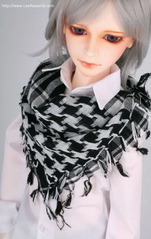 LR-006_L (Royal Gray) | Preorder | WIG - Image 7