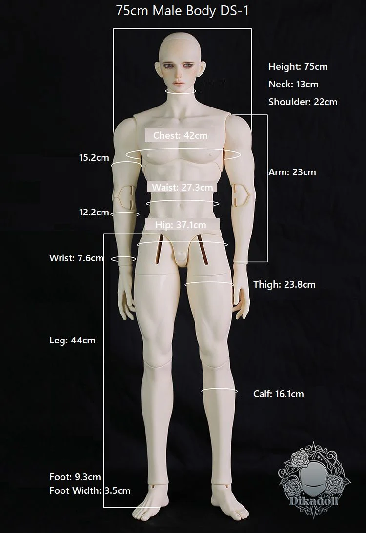 Luqin Antique Ver. [Limited Quantity] | Preorder | DOLL - Image 19