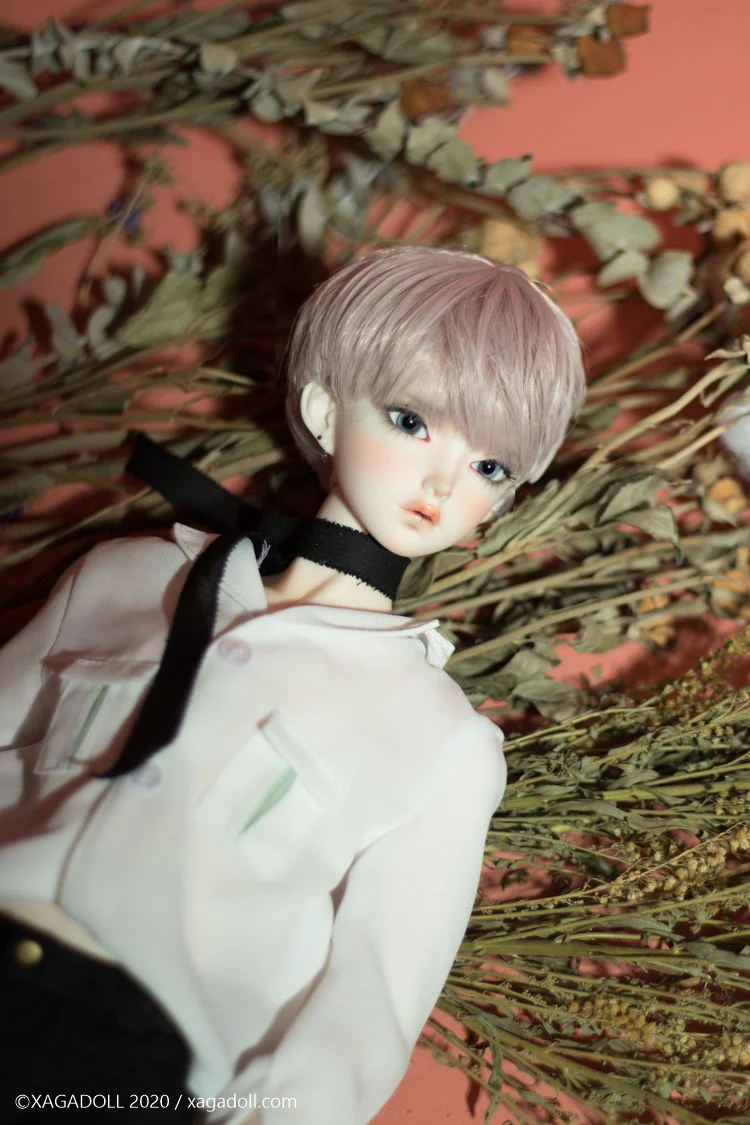Macula COSMOS | Preorder | DOLL - Image 3