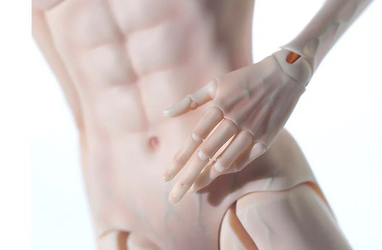 Male Body Zen 49cm | Preorder | PARTS - Image 15