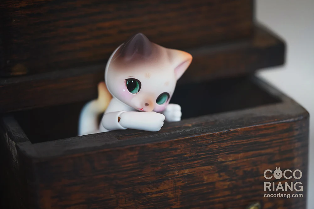 Mocka [Cream White] | Preorder | DOLL - Image 17