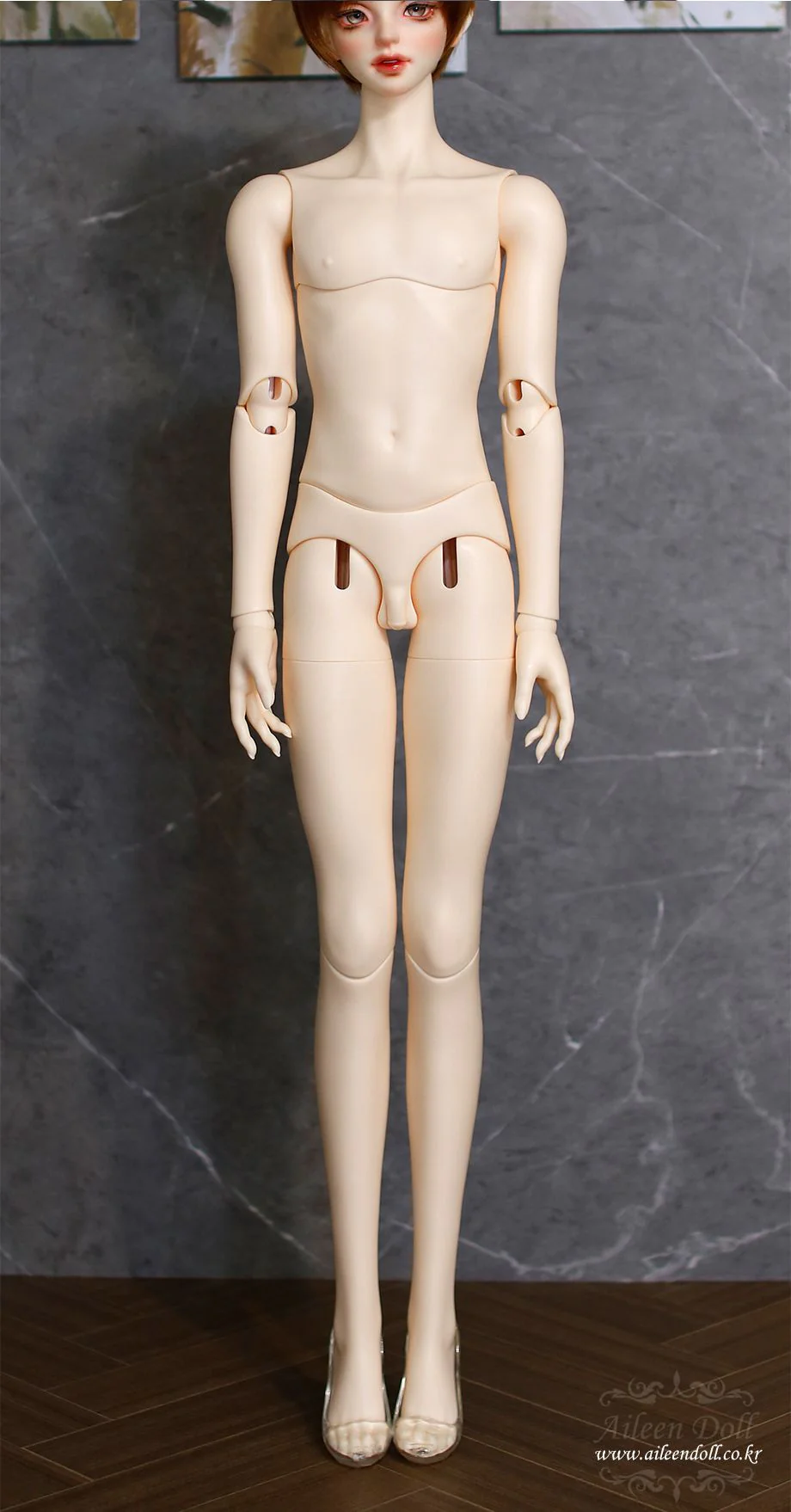 Omega 65 Body | Preorder | PART - Image 4