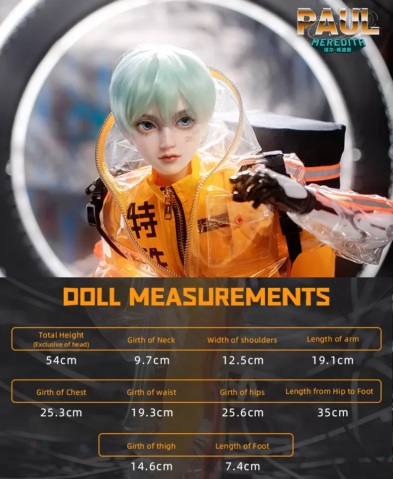 Paul Meredith | Preorder | DOLL - Image 8