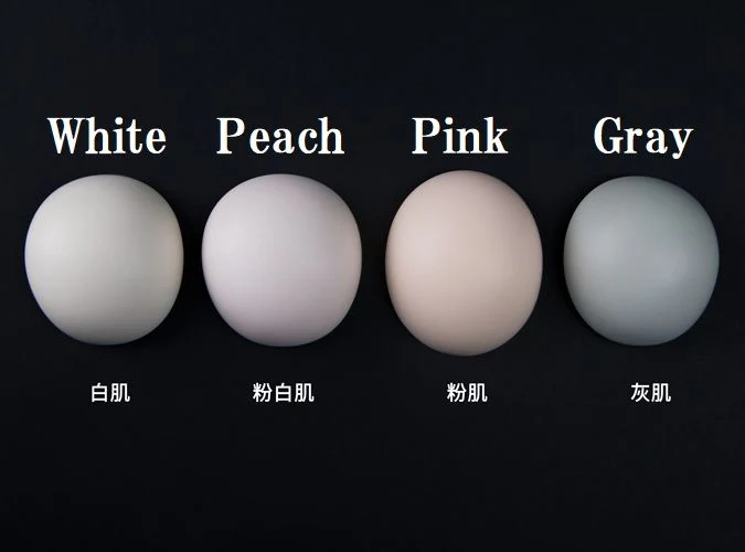 Peach | Preorder | DOLL - Image 11