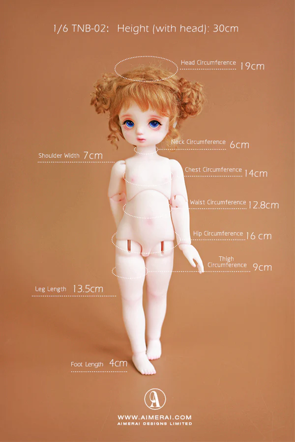 Petite Ryou - Manga Series Fullset | Preorder | DOLL - Image 15