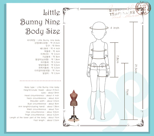 Pudding C Doll/21.5cm | Preorder | DOLL - Image 15