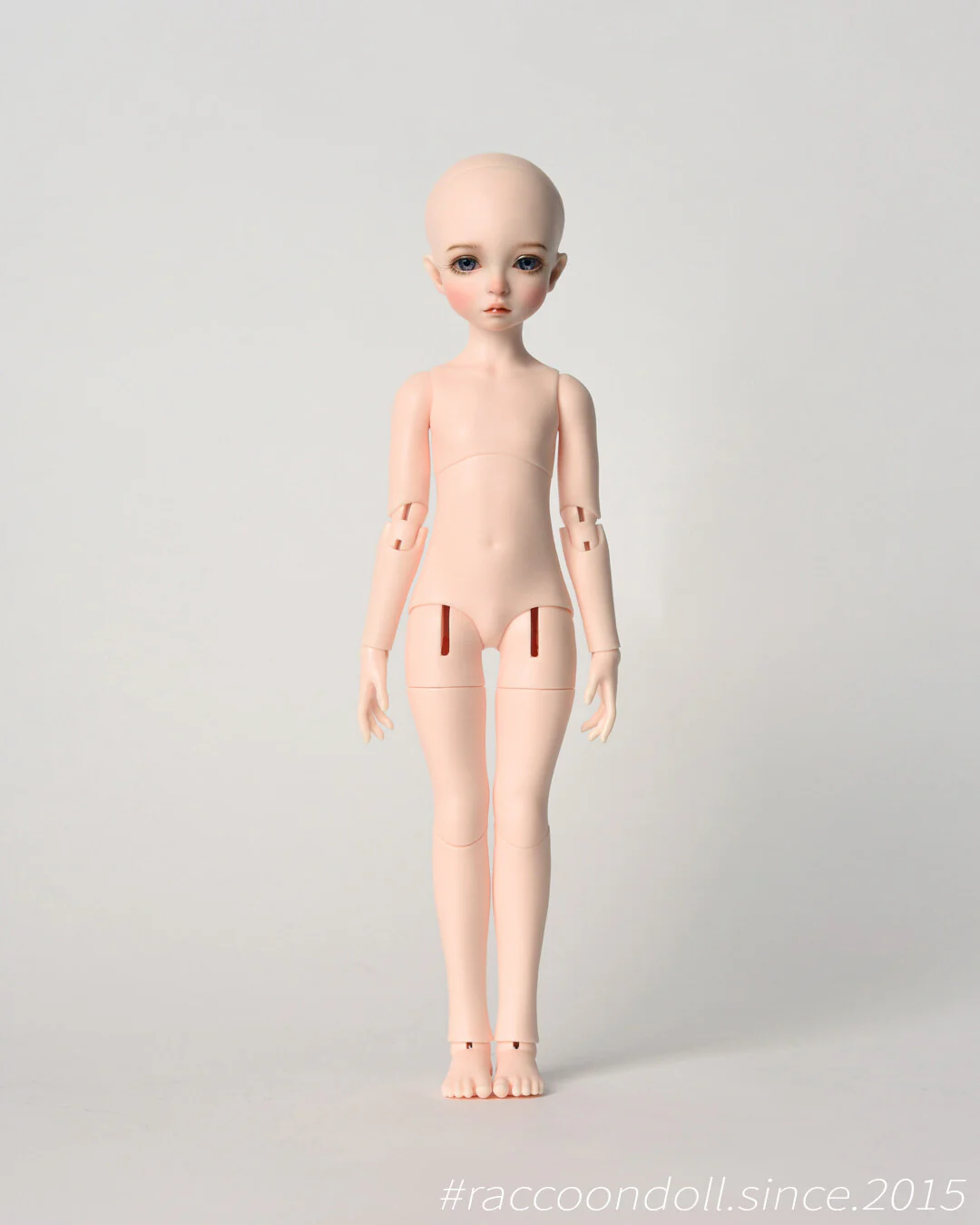 Ruby(22cm&27cm) [Limited Time 20%OFF] | Preorder | DOLL - Image 18
