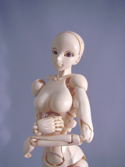 SFBT-3 Special Full-Action Body Type | Item in Stock | DOLL - Image 9