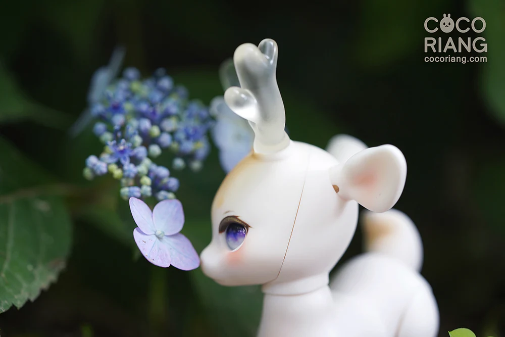 Shifty | Preorder | DOLL - Image 15