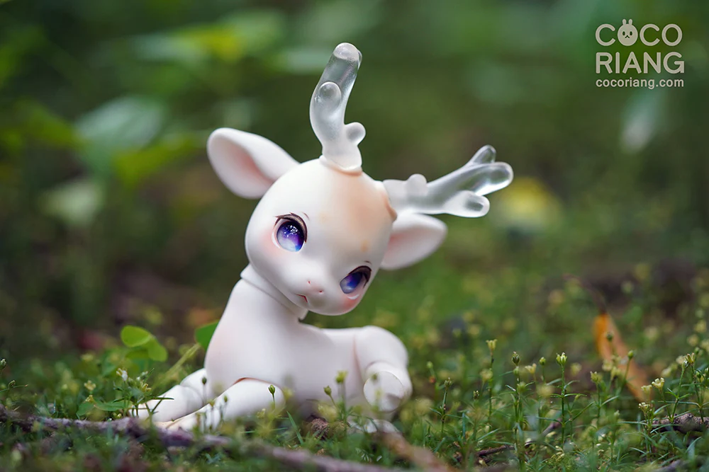 Shifty | Preorder | DOLL - Image 17