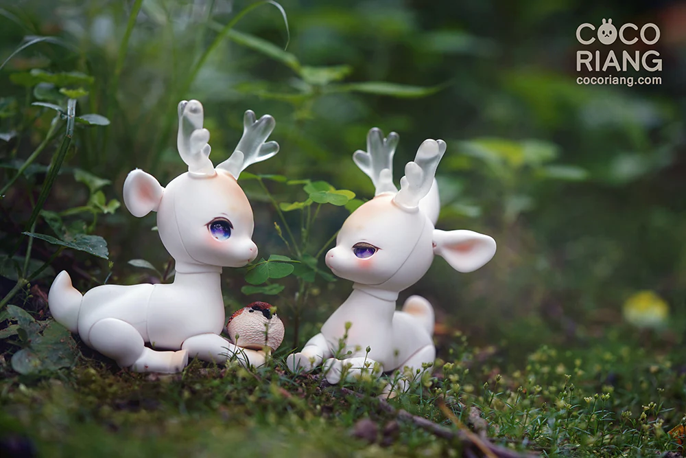 Shifty | Preorder | DOLL - Image 21