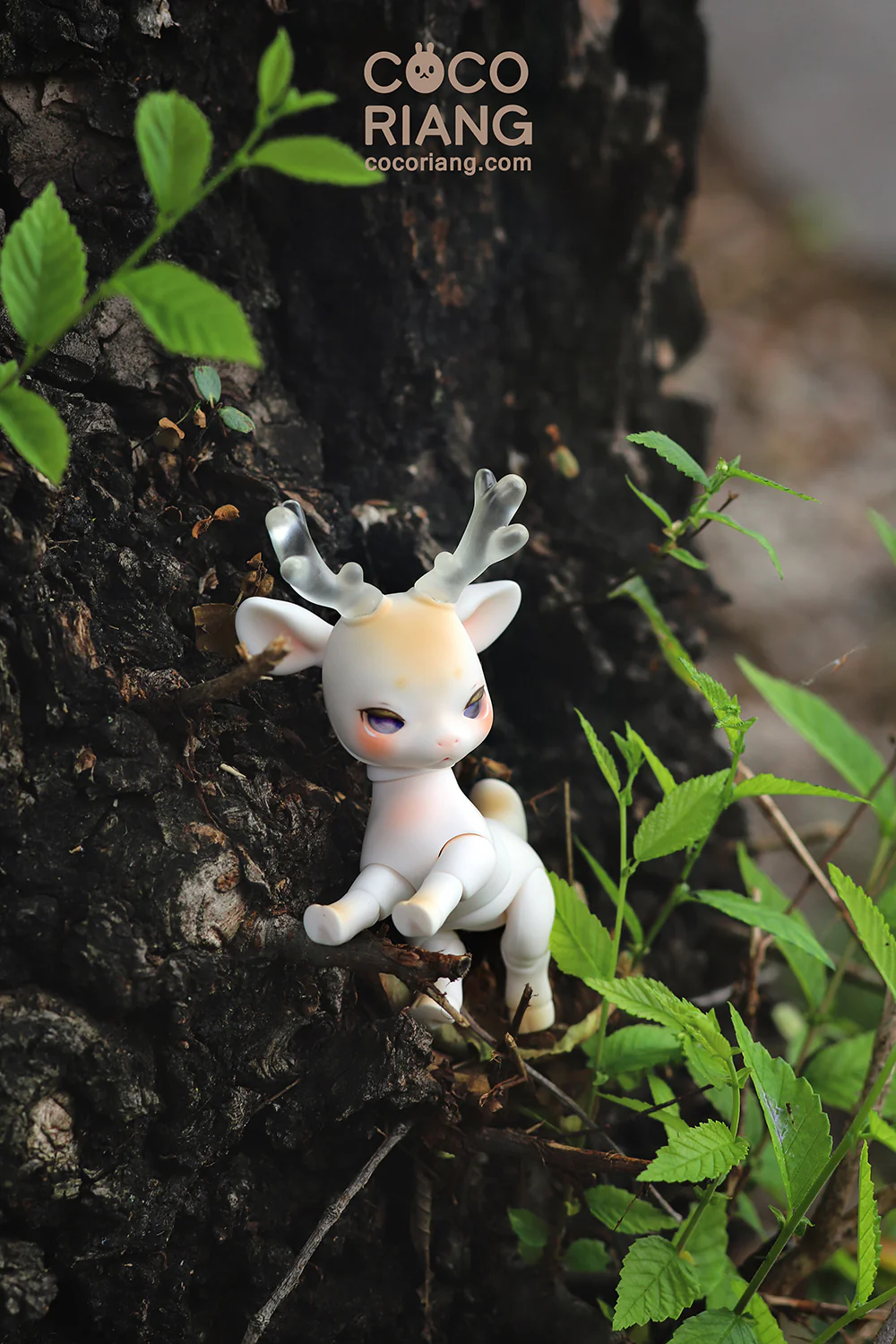 Shifty | Preorder | DOLL - Image 4