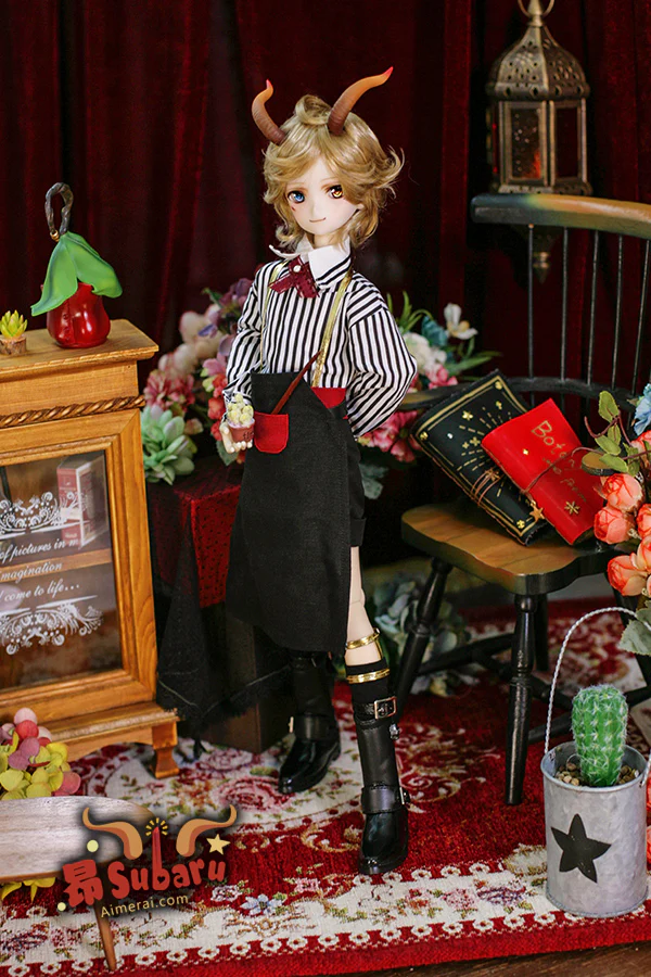 Subaru - Manga Series | Preorder | DOLL - Image 2