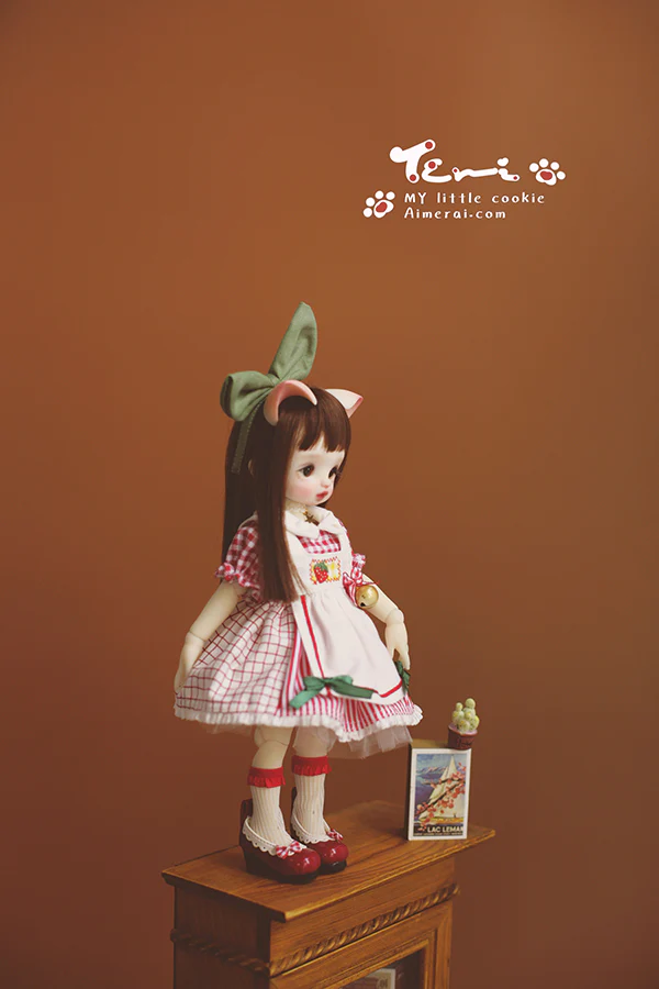 Terri - My Little cookies Fullset | Preorder | DOLL - Image 4