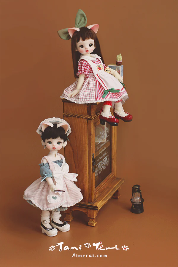 Terri - My Little cookies Fullset | Preorder | DOLL - Image 8