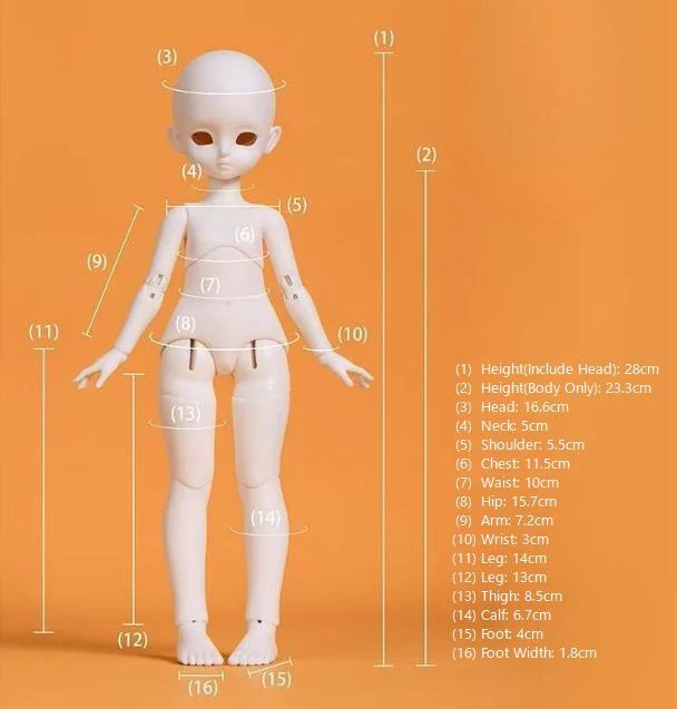 TG-B6-03 Girl Body | PREORDER | PARTS - Image 12