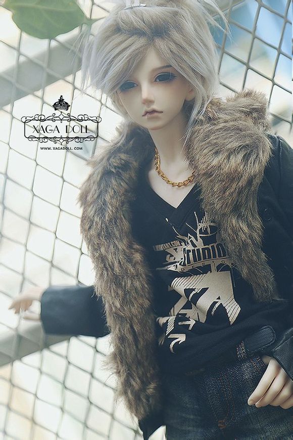 VIC | Preorder | DOLL