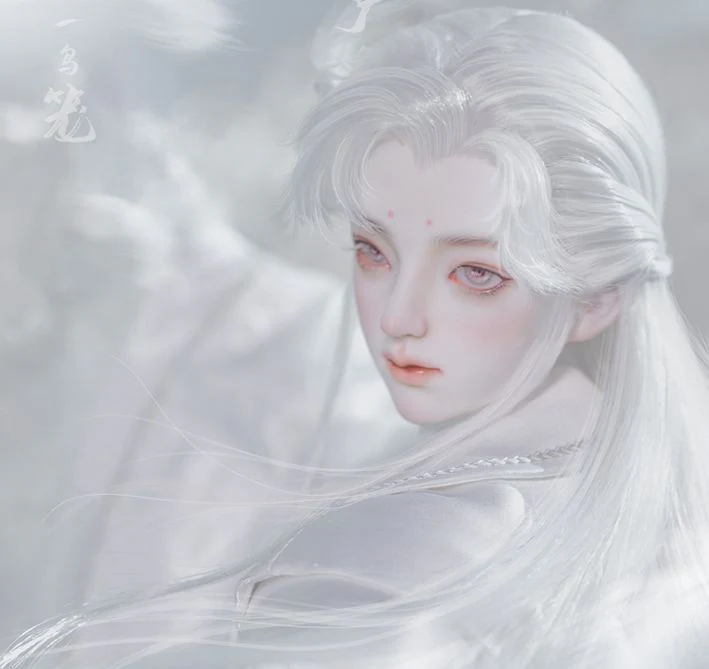 White Crow: 68cm Fullset | Item in Stock | DOLL - Image 9