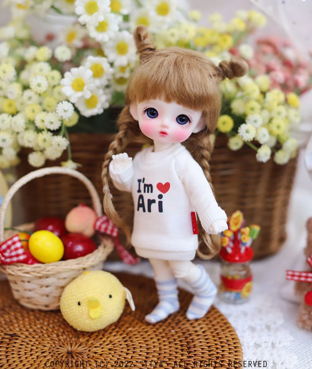 [White] Pocket Ari | Preorder | DOLL - Image 15