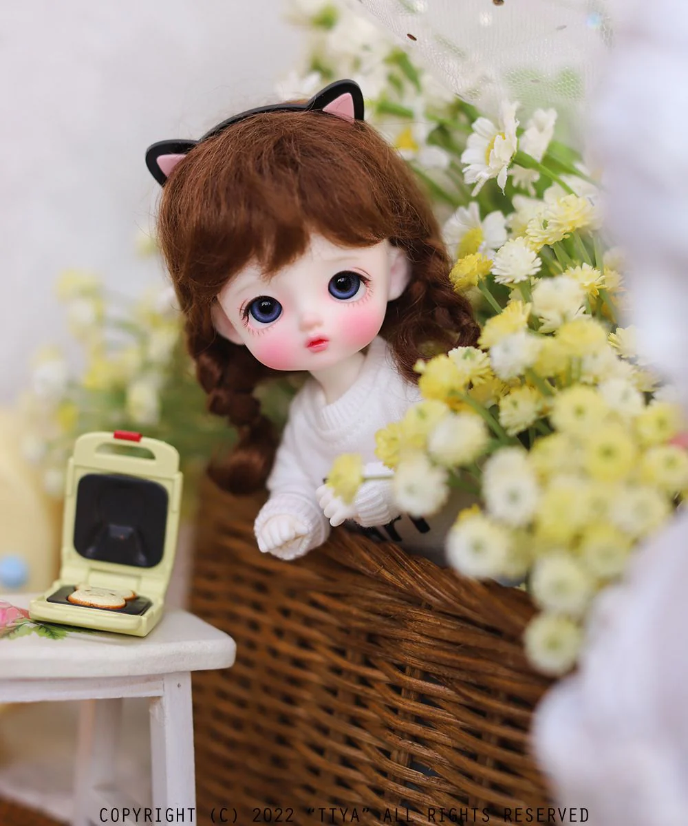 [White] Pocket Ari | Preorder | DOLL - Image 5