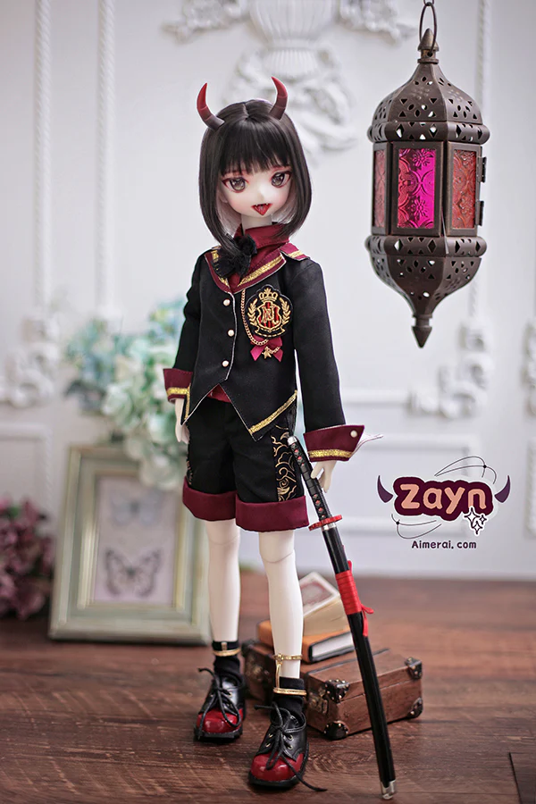 Zayn - Manga Series Fullset | Preorder | DOLL - Image 7